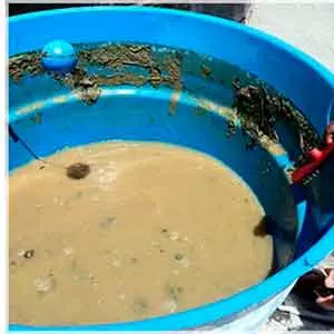 Oferecemos Lavagem de fachada em Marechal Deodoro